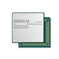 EG060KEAAA-M22-SGADA