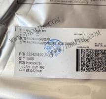 RAJ240100A20GFP